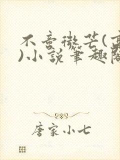 不啻微芒(高干)小说笔趣阁封面