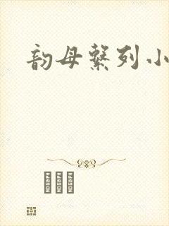 韵母系列小说