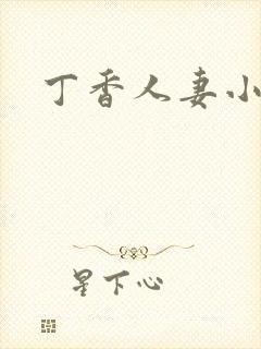 丁香人妻小说