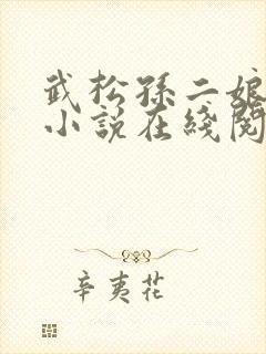 武松孙二娘云雨小说在线阅读封面