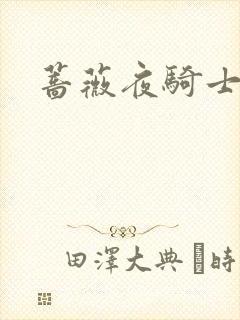 蔷薇夜骑士封面