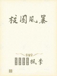 校园风暴封面
