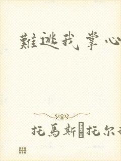 难逃我掌心封面