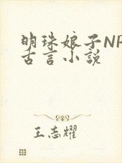 明珠娘子NPC古言小说