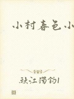小村春色小说封面