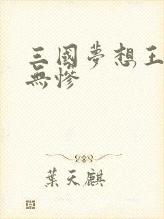 三国梦想王元姬无惨