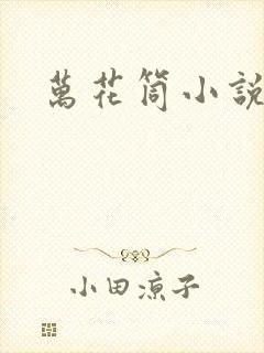 万花筒小说封面