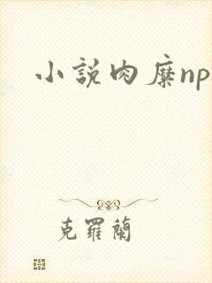 小说肉糜np