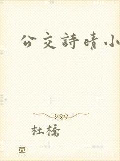 公交诗晴小说