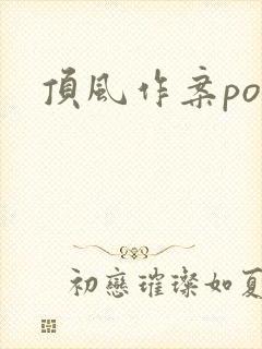 顶风作案po封面