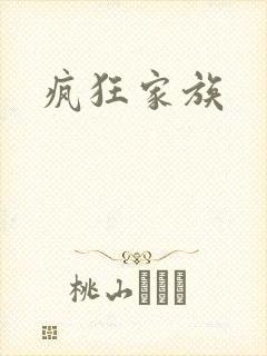疯狂家族封面