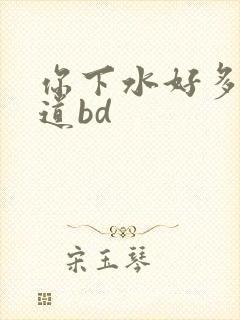 你下水好多下水道bd