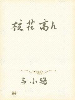 校花高h