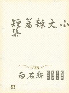 短篇辣文小说合集