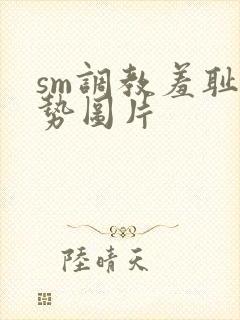 sm调教羞耻姿势图片封面
