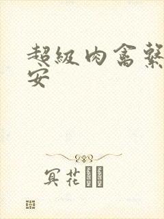 超级肉禽系统保安封面