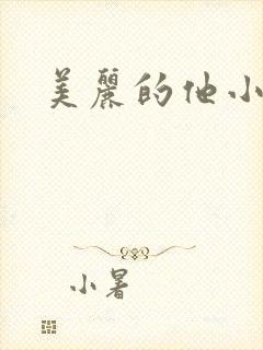 美丽的他小说