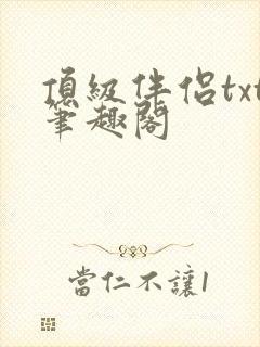 顶级伴侣txt笔趣阁