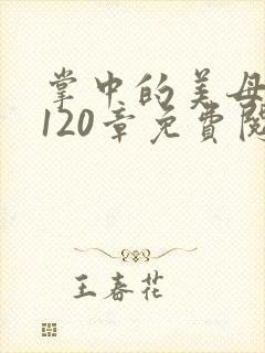 掌中的美母版主120章免费阅读