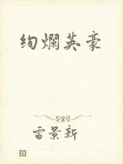 绚烂英豪封面