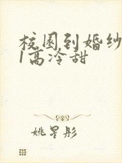 校园到婚纱1V1高冷甜封面