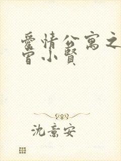 爱情公寓之极品曾小贤