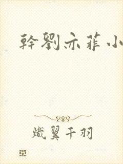 干刘亦菲小说