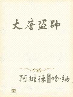 大唐盗帅