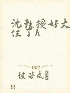 沈教授好大含不住了h