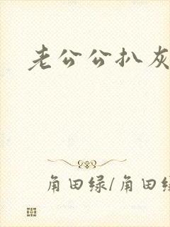老公公扒灰小说
