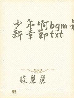 少年啊bgm最新章节txt封面