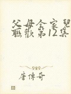 父母全家儿女大联欢第12集封面