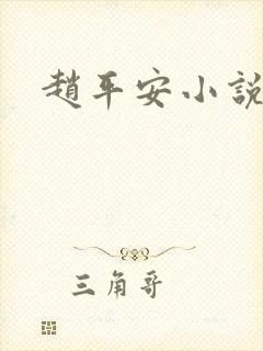 赵平安小说主角