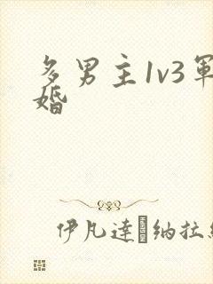 多男主1v3军婚封面