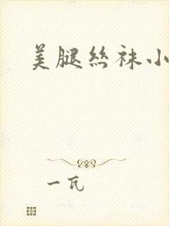 美腿丝袜小说