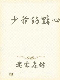 少爷的点心