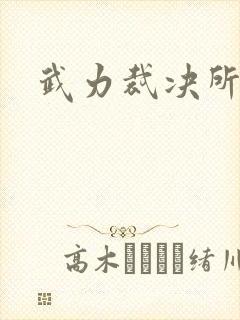 武力裁决所