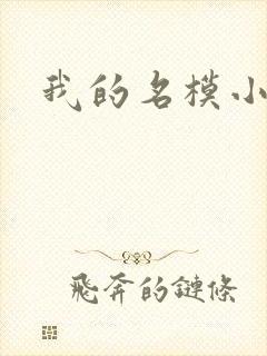 我的名模小娇妻
