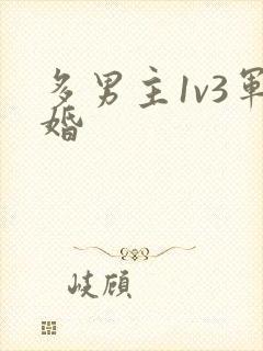 多男主1v3军婚封面
