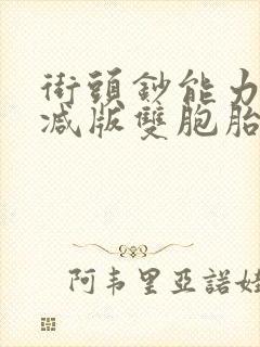 街头钞能力无删减版双胞胎