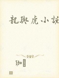 龙与虎小说