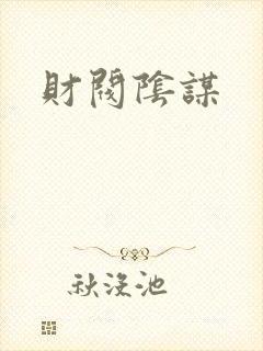 财阀阴谋封面