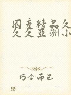 国产精品久久久久久亚洲小说