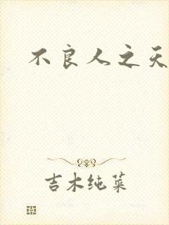 不良人之天罡传