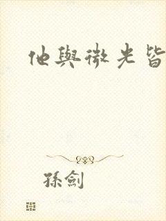 他与微光皆倾城封面