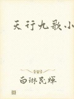 天行九歌小说封面
