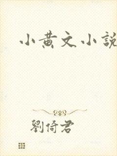 小黄文小说