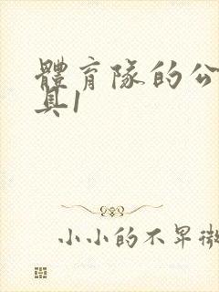 体育队的公用玩具1