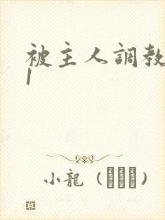 被主人调教1v1封面