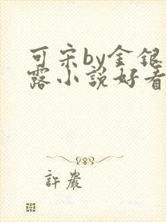 可宋by金银花露小说好看吗封面